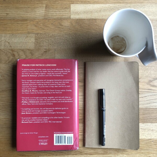 tiimin viisi toimintahairiota loppu scaled 1