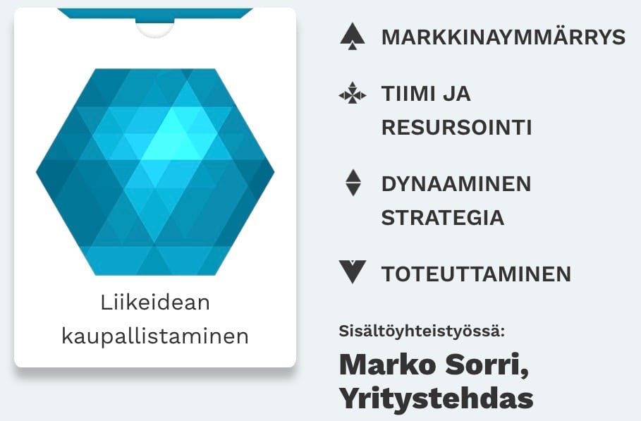 pakka liikeidean kaupallistaminen