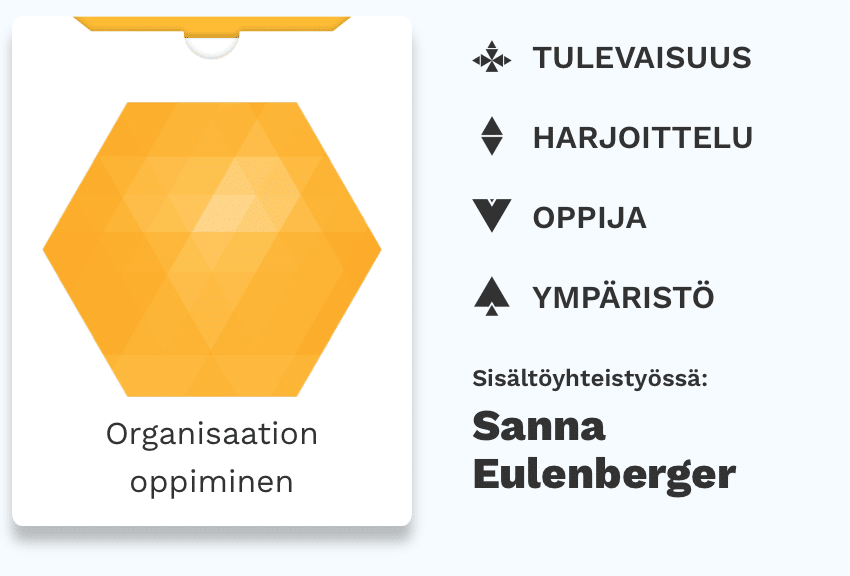 oppiva organisaatio pelin maat topaasia